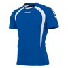 Afbeelding Hummel team t-shirt heren blauw