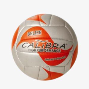 Afbeelding Calibra Belize Beach Volleybal kleur Oranje zilver