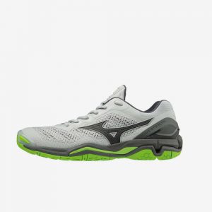 Afbeelding Mizuno Wave Stealth V handbalschoen grijs