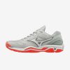 Afbeelding Mizuno Wave Stealth V handbalschoen dames grijs