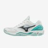 Afbeelding Mizuno Wave Stealth V handbalschoen dames wit
