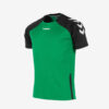 Afbeelding hummel authentic tee sportshirt junioren heren kleur groen