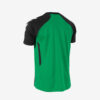Afbeelding hummel authentic tee sportshirt junioren heren kleur groen