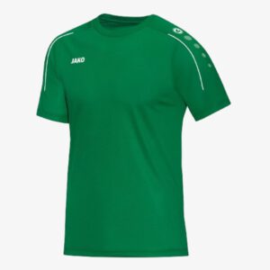 Afbeedling Jako Witteveenseboys t-shirt groen