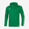 Afbelding Jako Witteveenseboys Hooded jack groen