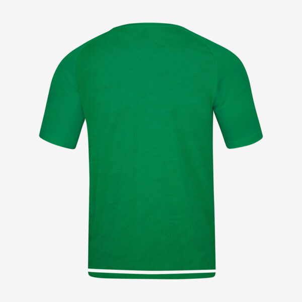 Afbeedling Jako Witteveenseboys t-shirt groen
