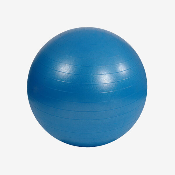 Afbeelding Sportec Gymball blauw