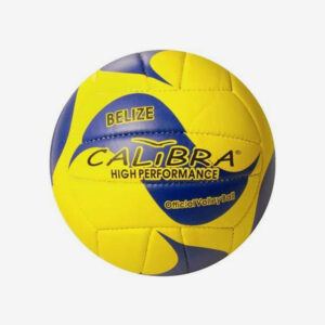 Afbeelding Claibra beachvolleybal geel blauw