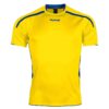 Afbeelding Hummel HVA Preston wedstrijdshirt blauw/geel