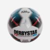 Afbeelding Derbystar classic light 320 gram voetbal wit/blauw