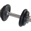 halterset 10 kg