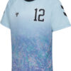 hummel shimmer trainingset