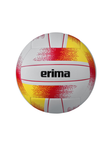 Volleybal